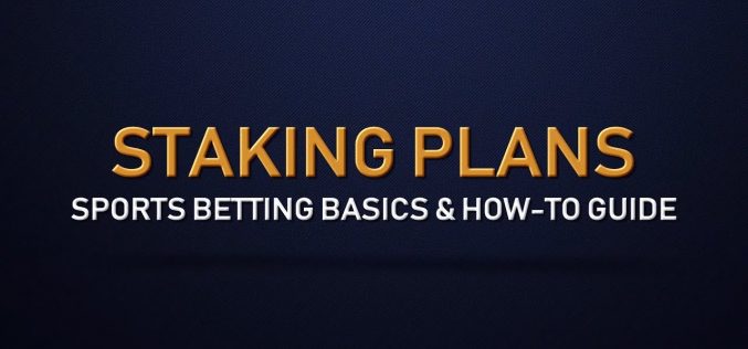 Knowing more about fixed staking plans﻿