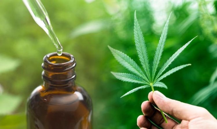 CBD Oil – Uses, Side Effects and Dosage