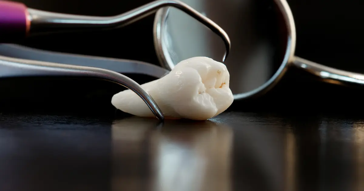 Mastering Oral Hygiene: The Essential Guide to Healthy Teeth and Gums